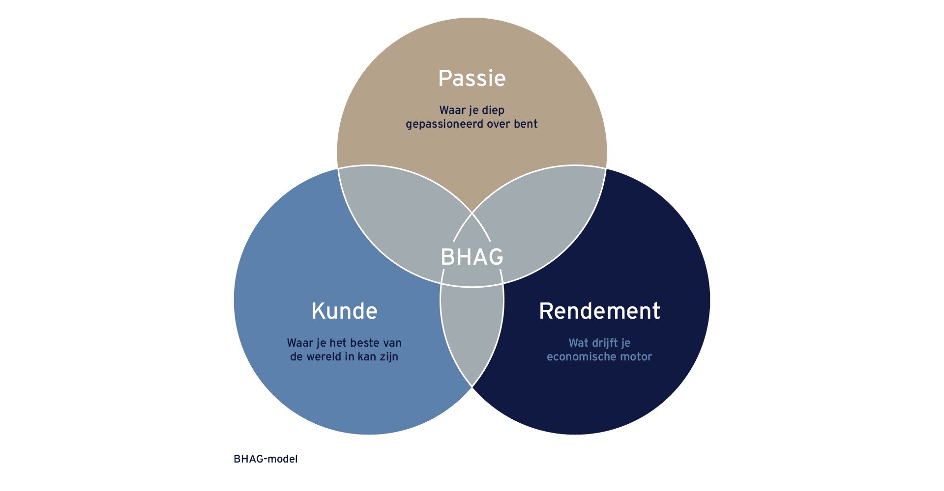 BHAG-model
